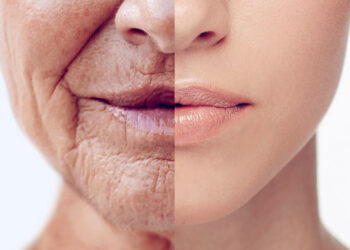 Coenzima Q10, la molécula que ilusiona con la eterna juventud