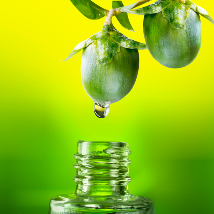 ACEITES VEGETALES