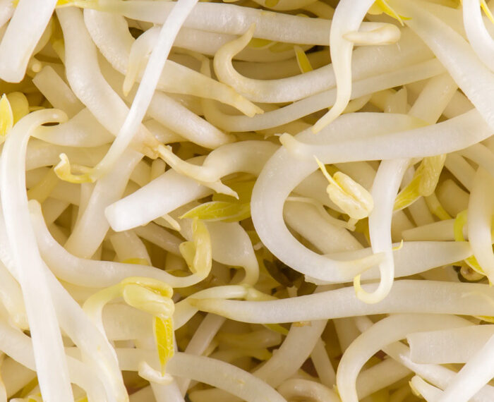 BROTES DE SOJA