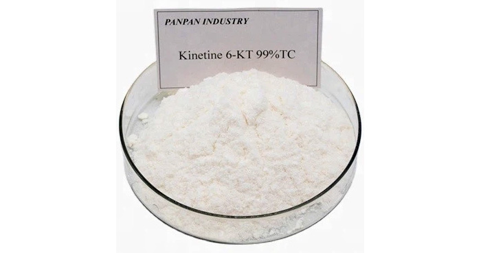 kinetina