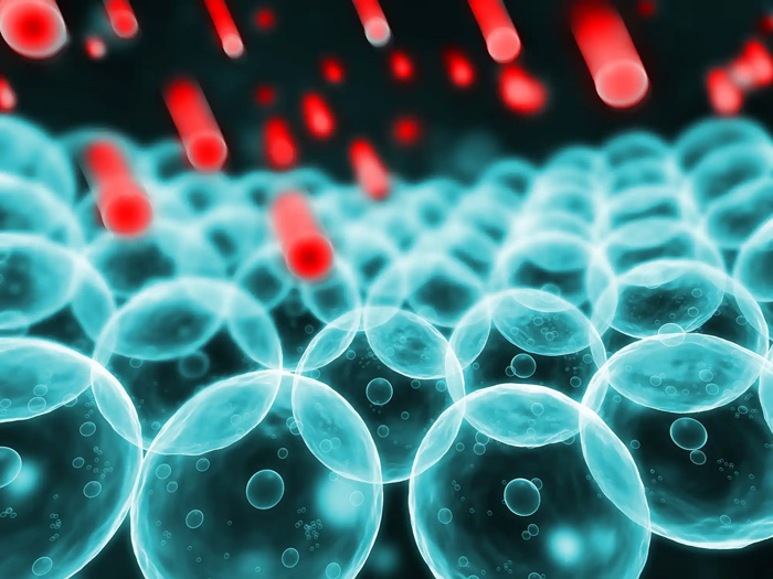 Antioxidantes y radicales libres