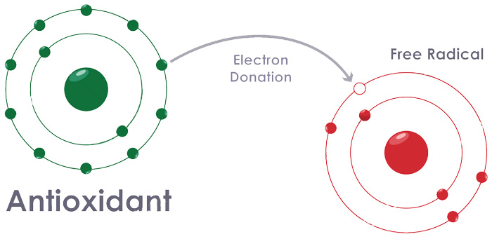 Antioxidantes y radicales libres