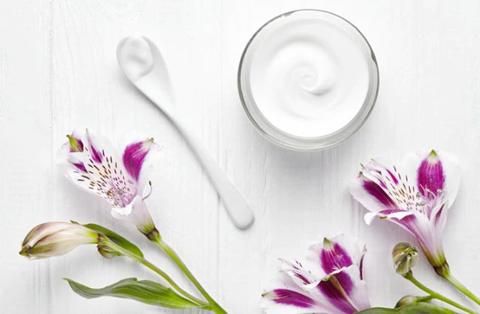 CELULAS MADRE VEGETALES