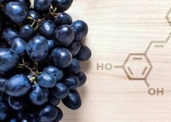 RESVERATROL
