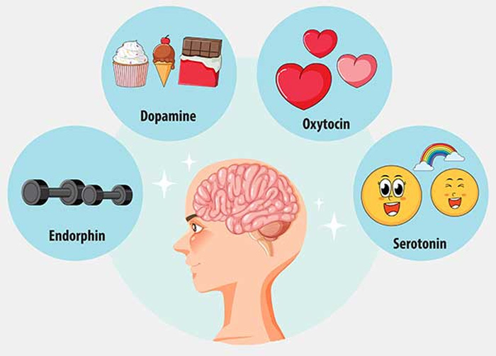 Endorfinas o las moléculas de la felicidad