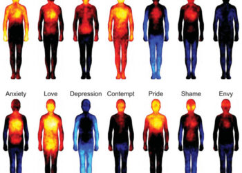 Mapa corporal de las emociones