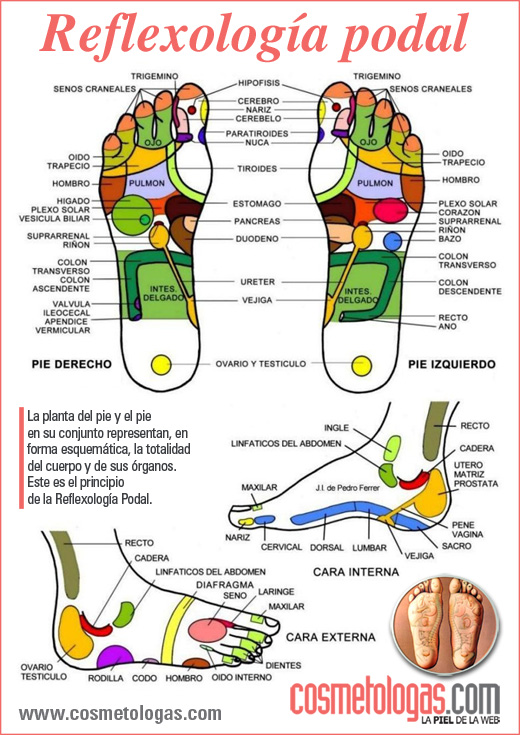 Reflexología podal