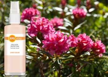 Línea solar plus de Masterly con FPS Alto