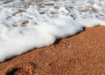 La salud que viene del mar