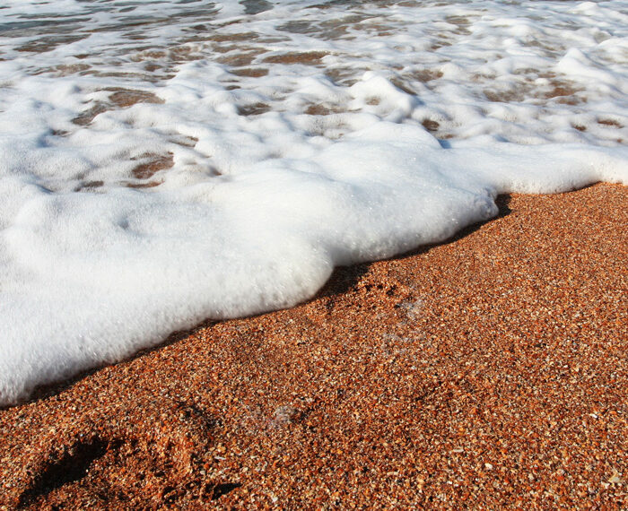 La salud que viene del mar