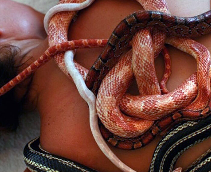 Snake Massage