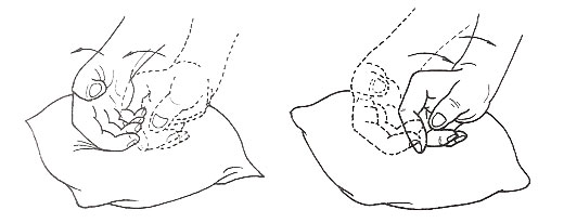 Técnicas del masaje Tui Na