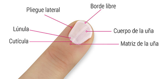 TIPS PARA UÑAS