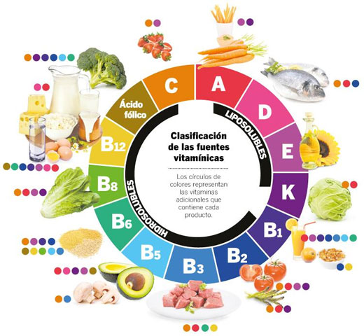 Las vitaminas, microprocesadores metabólicos naturales